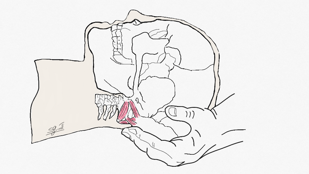 Dor de cabeça cervical